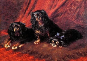 CAVALIER KING CHARLES SPIELZEUG SPANIEL HUND GRÜSSE NOTIZKARTE NIEDLICHE GRUPPE VON HUNDEN - Bild 1 von 1