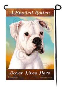 Hier lebt ein verwöhnter fauler (uncropped white) Boxer - Bild 1 von 1