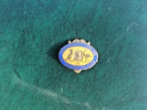 # VINTAGE MARICKVILLE BOWLING & RECREATIONAL ENAMEL LAPEL BADGE # - Picture 1 of 2