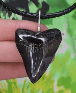 Megalodon Sharks Tooth Necklace NICE! NO RESTORATIONS fossil sharks teeth tooth - Bild 1 von 5