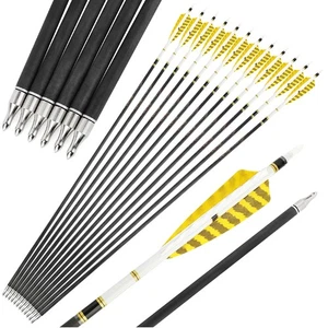 Pure Carbon Arrow 31" Archery Feather SP250-600 Compound Bow Recurve Bow Hunting - Picture 1 of 15