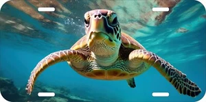 TURTLE TURTLES DESIGN YOUR OWN ASSORTED UV PRINTED METAL LICENSE PLATE 18 - Imagen 1 de 4