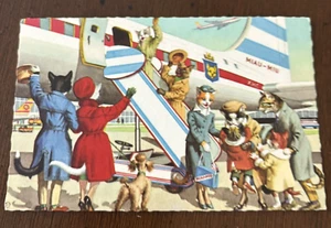 Vintage Alfred Mainzer Postcard Printed in Belgium Kitty Family Airplane Trip - Picture 1 of 5