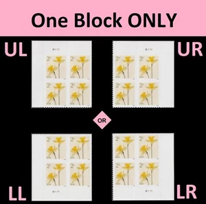 US 5898 Flowers Daffodils 2c plate block 4 MNH 2024 - Picture 1 of 1