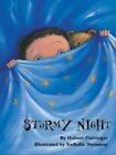 Stormy Night by Flattinger, Hubert , hardcover