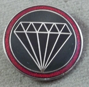 US Army 150th (RCT) Reggimental Combat Team Unit Crest Insignia - Clutchback - Foto 1 di 3