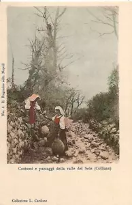 Costumi e paesaggi della Valle del Sele_COLLIANO_Salerno n° 6_Ragozino_Napoli - Picture 1 of 1