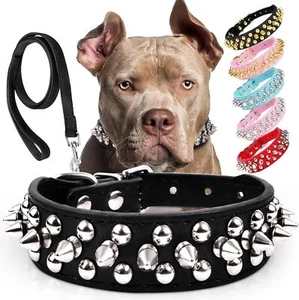 Spiked Dog Collar with Leash Studded Leather Durable for Medium to Large Dogs Pe - Picture 1 of 6