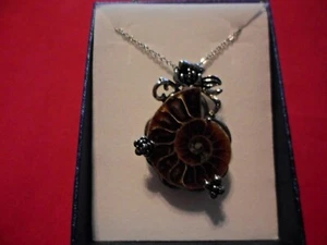 Ammonit Edelstahl Anhänger mit Kette - 20 Zoll - 8,50 Karat - Bild 1 von 4