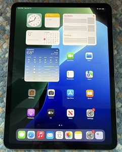 iPad Pro 11" 1st Gen A2013 64GB SSD WiFi/Cellular Unlocked 0 Charges "NEW" - Picture 1 of 4