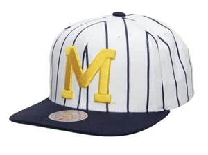 Michigan Wolverines Herren NCAA Retro Nadelstreifen Mitchell & Ness Druckknopflasche Mütze Neu mit Etikett - Bild 1 von 9