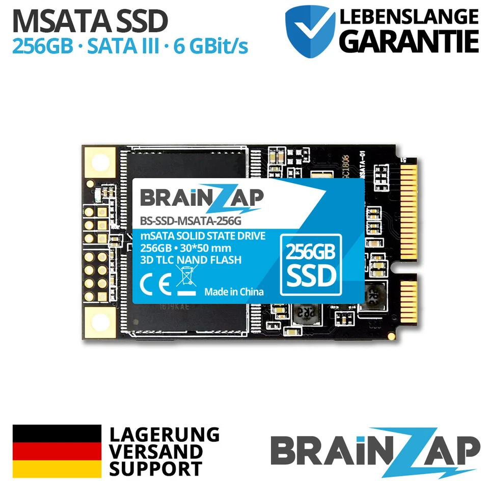 BRAINZAP 256GB mSATA Intene SSD (‎BS-SSD-MSATA-256G)