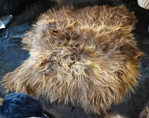 Wild & Wooly A Natural Sin Kissed Brown Long Wool Icelandic Sheepskin Rug - Picture 1 of 10