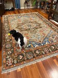 Hand Knotted Multi Size Transitional Customizable Serapi Area Rug | Wool Rug - Picture 1 of 8