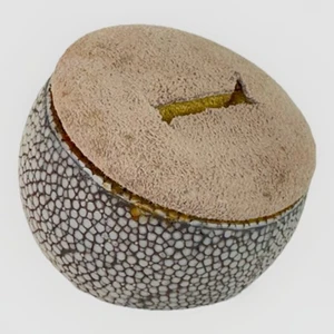 Antiguo soporte de exhibición de anillo en forma de orbe y negro blanco y negro Shagreen - Imagen 1 de 10