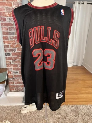 Camiseta NBA Authentics Michael Jordan Stitched Bulls talla XL Foto 1 de 4