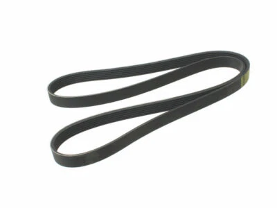 Para 2006-2010 BMW 550i Multi Rib Belt Primary 28334SG 2007 2008 2009 - Imagem 1 de 2