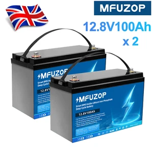2x 12V 100Ah Lithium Battery LiFePO4 15000 Cycles 100A BMS Solar RV Marine - Picture 1 of 13