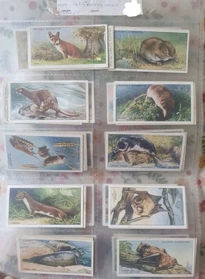 1939-43/50 Players Animals of the Countryside Cigarette Cards X 41 - Image 1 of 4