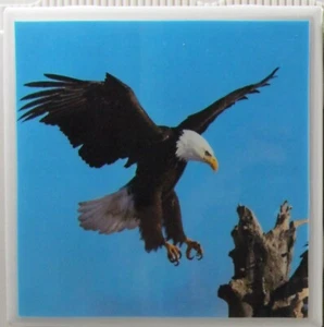 1er Set - Handgefertigte Keramikfliesen Untersetzer - Adler (Kaufen Sie 3 erhalten Sie 1 gratis) 3 A - Bild 1 von 5