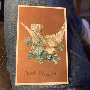 Best wishes Greeting Postcard w/ Dove Flying with branch in mouth - Picture 1 of 2