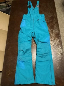 Lands' End Youth Sz 16 Insulated Ski Snow Bibs Pants Reinforced Seat/Knee NICE! - Picture 1 of 11