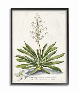 Stupell Industries Botanical Plant Illustration Ferns Vintage Black Framed Wa... - Picture 1 of 8