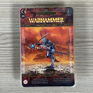 Tzeentch Brujo Señor Demonios Del Caos Warhammer el Viejo Mundo Edad De Sigmar - Imagen 1 de 3