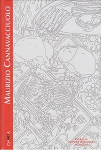 ARTE MAURIZIO CANNAVACCIUOLO CATALOGO DELLA MOSTRA BOSTON 2004 EDIZIONE INGLESE - Picture 1 of 1