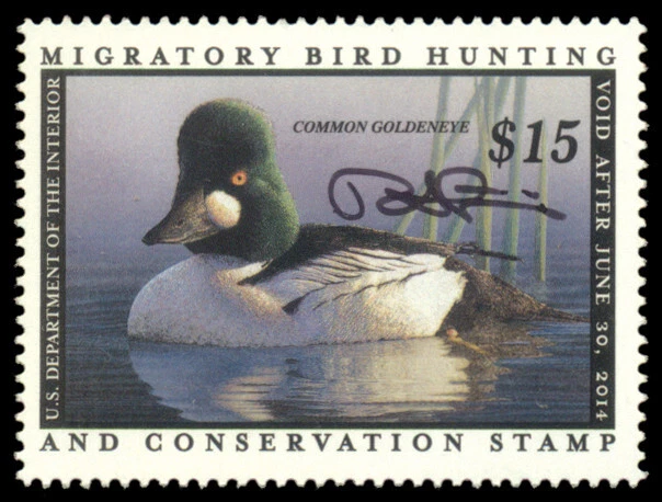 RW80S — Federal duck stamp signed by artist Robert Steiner - Image 1 of 1
