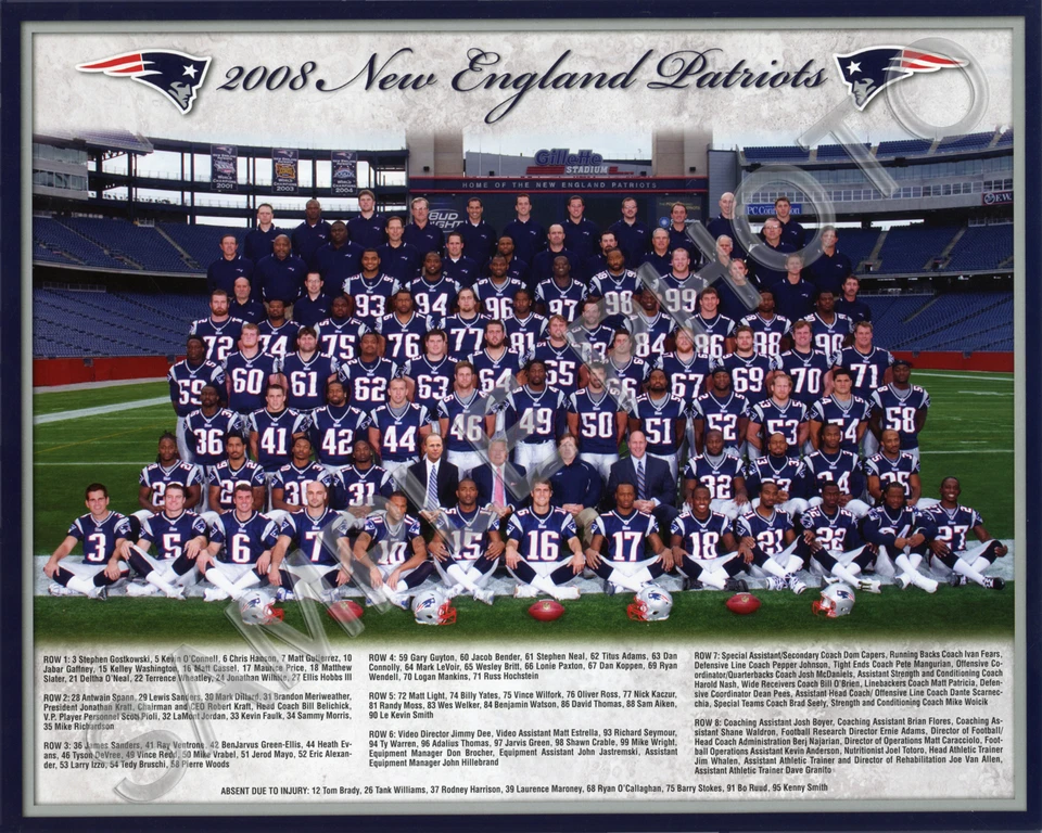 Foto del equipo de fútbol 8x10 de los Patriotas de Nueva Inglaterra 2008 Foto 1 de 1