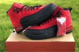 aj 12 reverse flu game