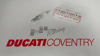 GENUÍNO DUCATI 750 SPORT/906 PASO VELA DE IGNIÇÃO CHAMPIONS RA8HC - Imagem 1 de 3