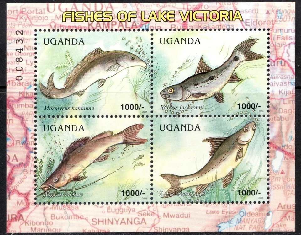 Rare : 2005 Uganda Sc# 1874. Fish of Lake Victoria. MNH souvenir sheet. - Image 1 of 1