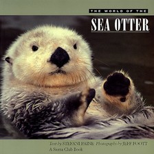 THE WORLD OF THE SEA OTTER By Stefani Paine **Mint Condition**