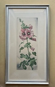 Radierung Blühende Malve Stillleben unleserlich signiert Bilderrahmen Malvaceae - Bild 1 von 12