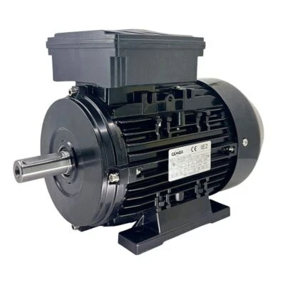 Moteur Électrique Monophasé 220V 0.25kW 3000Tr/min B3 2MLE632 Double Condensate - Photo 1/4