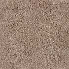 Light Beaver Brown Stain Resistant Saxony Action Back Carpet 9mm Deep Twist Pile