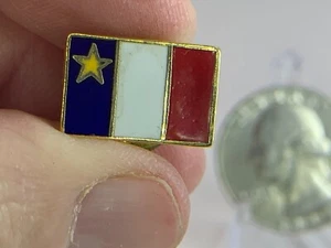Prendedor vintage bandera amarilla estrella virgen María acadia Nueva Escocia Canadá T-3667 - Imagen 1 de 1