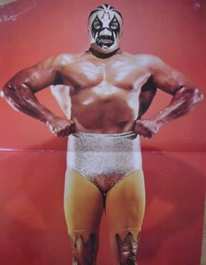 WWWF WRESTLING FROM MADISON SQUARE GARDEN 12-19-77 PRO WRESTLING DVD (W-1936) - Picture 1 of 1