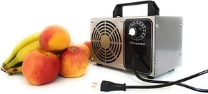 Lychee Generador de ozono Comercial Profesional,10g/h 220V Purificador de Aire - Imagen 1 de 2