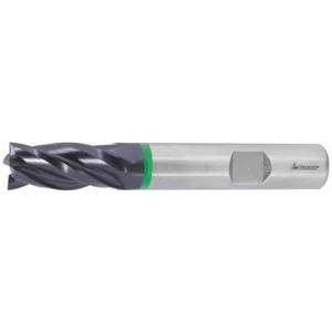 1 x GARANT ø 4 mm HSS-E-SPM Schaftfräser Z=4 (4 x 11 x 55 mm) - Picture 1 of 1