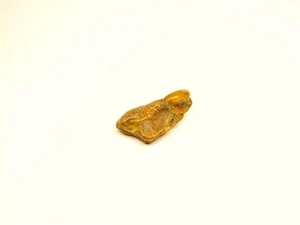 Baltic Amber Stone Multicolor Unpolished Natural Genuine Gemstone 6680 - Picture 1 of 7