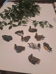 Set Of 9 Natures Window 2 " Miniature Resin Duck Decoys W Labels * PLEASE READ * - Picture 1 of 17