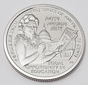 2024 S PATSY TAKEMOTO VISONE *RIVESTITO* QUARTO *SPEDIZIONE GRATUITA* - Foto 1 di 3