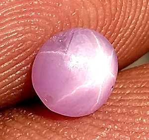 Natural Light Purple Star Sapphire 0.95ct Stone Sri-Lanka - ( VIDEO )