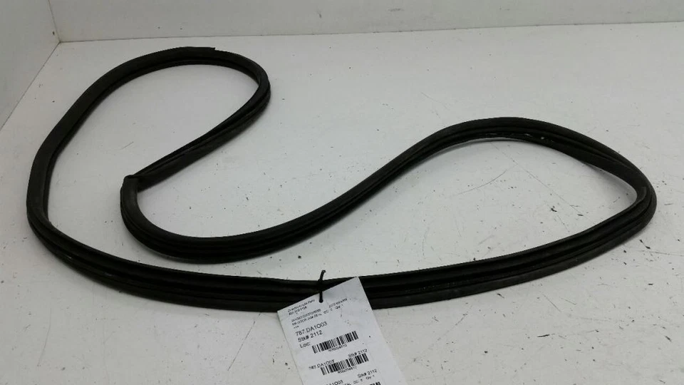 Junta de sellado de jamba para puerta trasera derecha Nissan Máxima 2002 2003 Foto 1 de 1