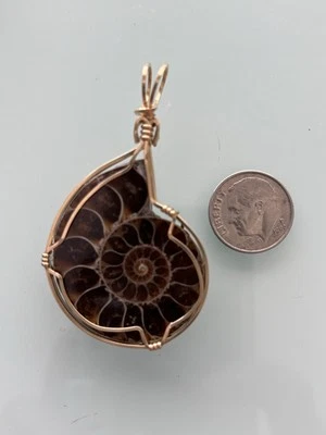 Alambre de amonita fosilizado envuelto en relleno de oro de 14 quilates Foto 1 de 3