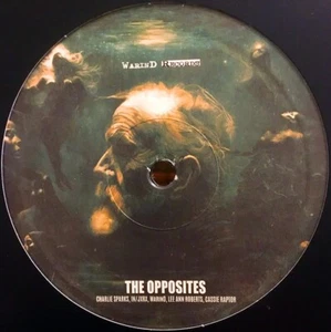Charlie Sparks/Cassie Raptor/INJXRX-WARIND 06 12"Vinyl HARD TECHNO ACID HARDCORE - Foto 1 di 1