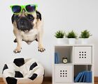 3D Glasses Pug G039 Animal Wallpaper Mural Poster Wall Stickers Decal Honey